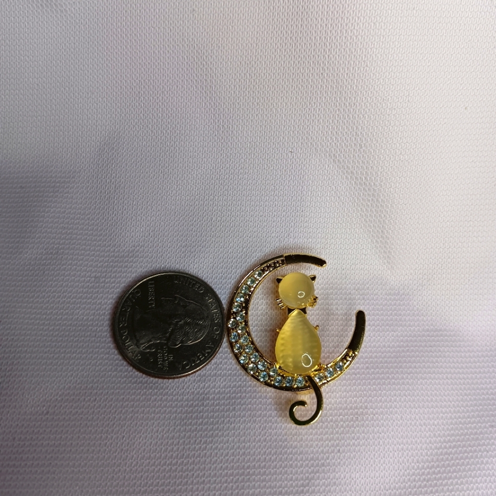 Gold Brooch With Champaign Colored Cat and Bedazzled Moon Brooch NWOT